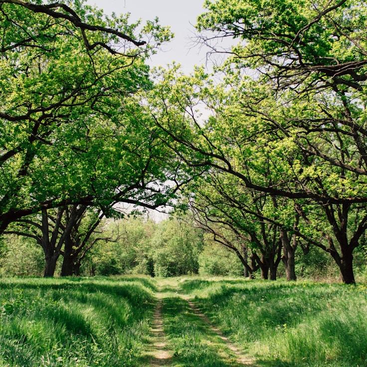 National parks scenery